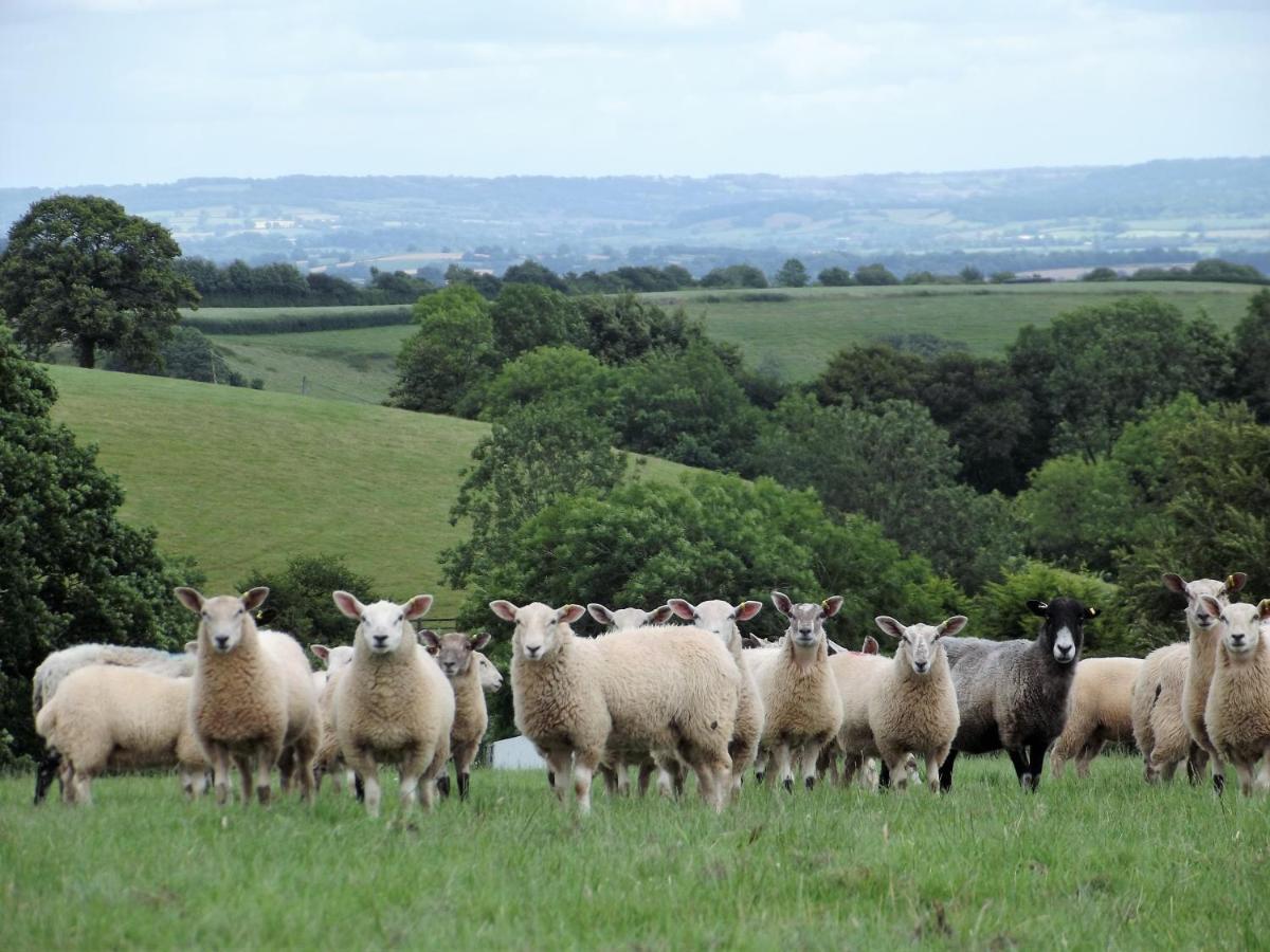 Deepaller Farm Tiverton  Kültér fotó